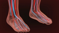 Identifying Symptoms of Poor Circulation in the Feet